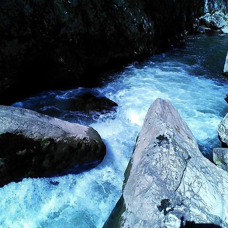 Odmaraliste Vlasko Zdrelo Pirot Cameră foto