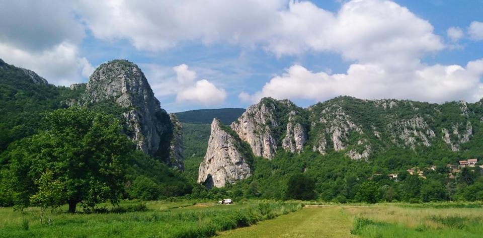 Odmaraliste Vlasko Zdrelo Pirot Exterior foto