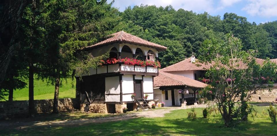 Odmaraliste Vlasko Zdrelo Pirot Exterior foto