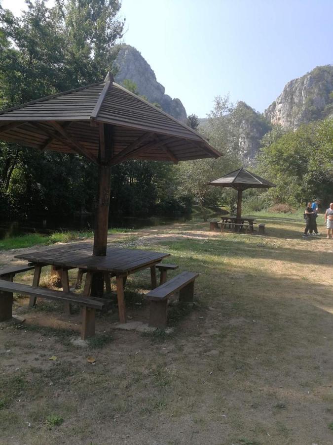 Odmaraliste Vlasko Zdrelo Pirot Exterior foto