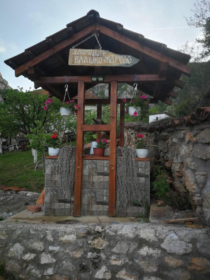 Odmaraliste Vlasko Zdrelo Pirot Exterior foto